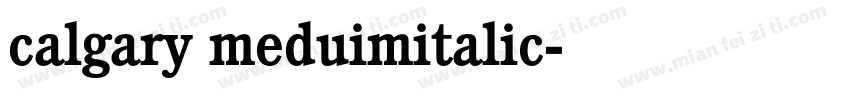 calgary meduimitalic字体转换